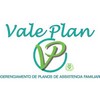 Vale Plan